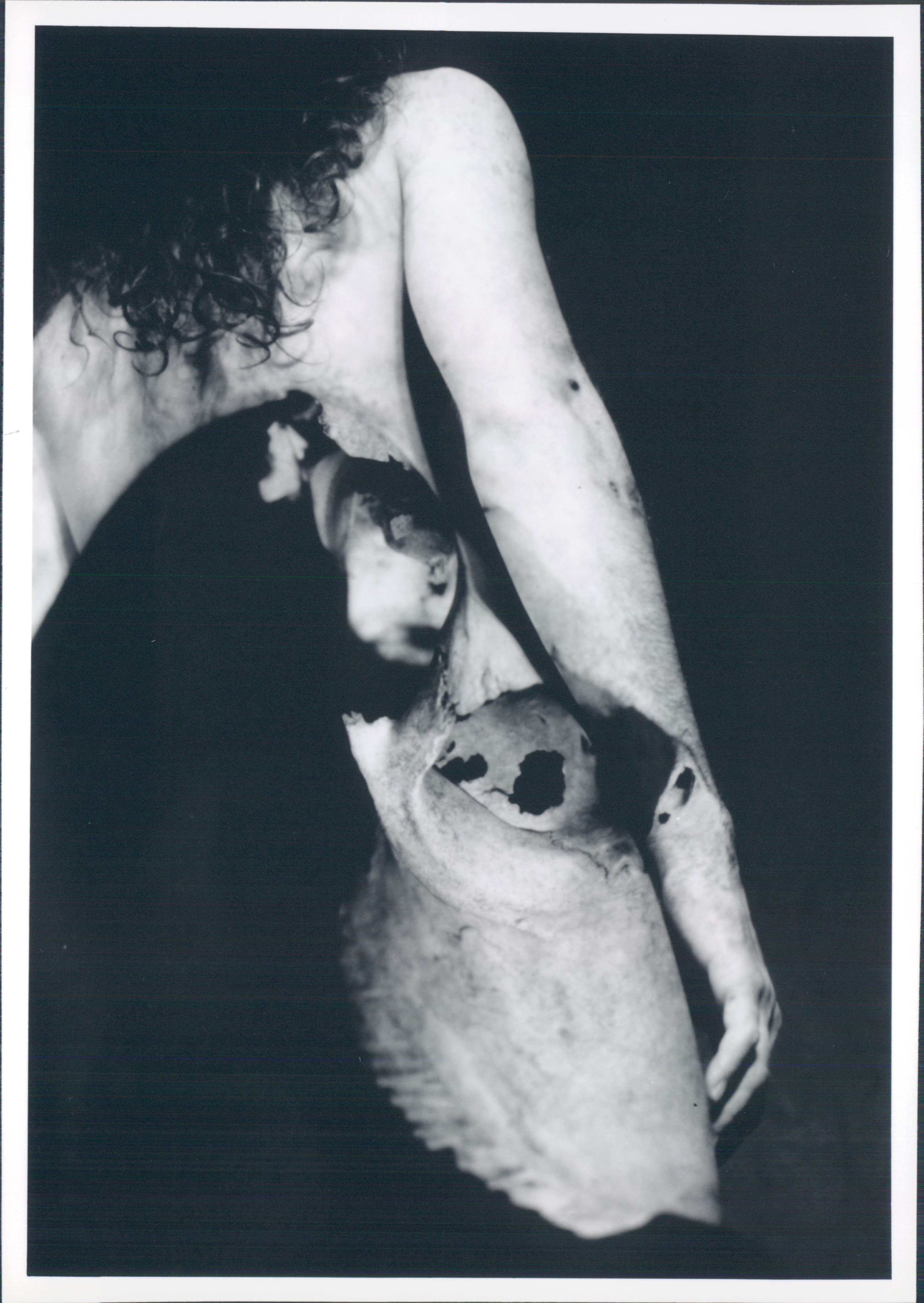 GalenSuperimposedOverCowSkullPhoto